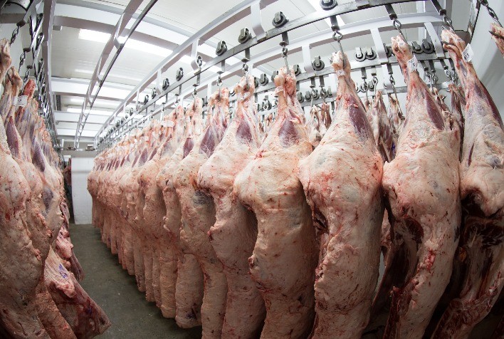 Exportações de carne bovina brasileira aos EUA crescem mesmo com novas tarifas