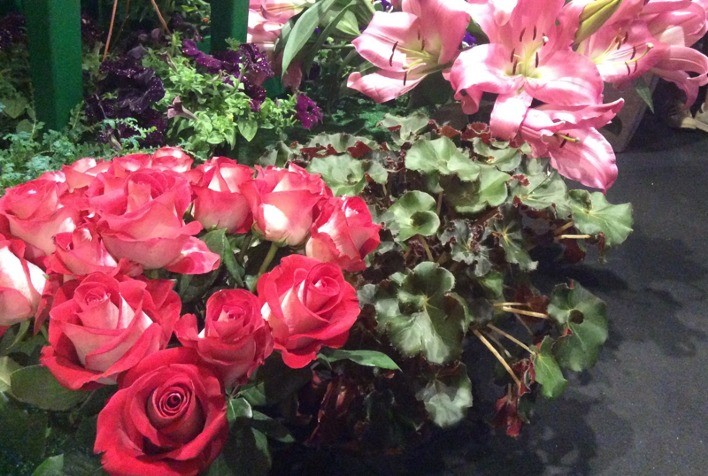 Dia das Mães impulsiona mercado de flores no Paraná e projeta crescimento nas vendas