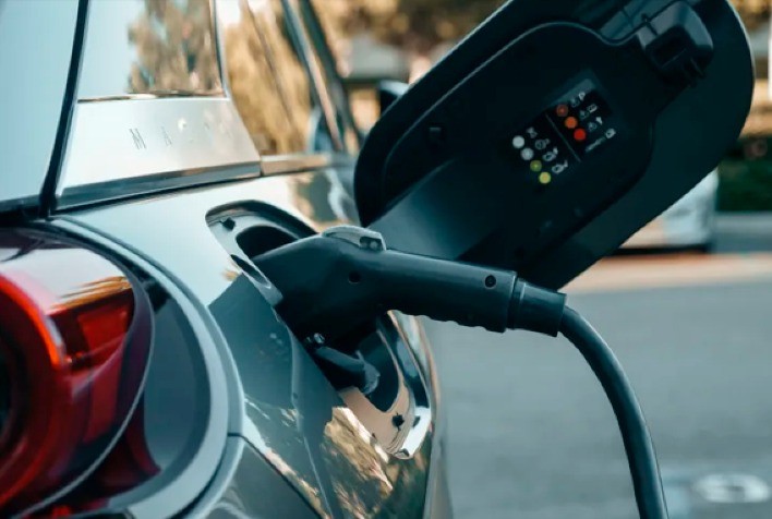 Estudo Aponta que o Brasil Perderá 46 Campos de Futebol por Mês em Desmatamento para Atender Demanda por Carros Elétricos da União Europeia