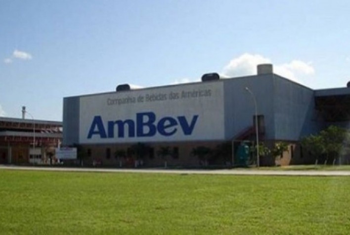 Ambev Registra Lucro de R$ 3,8 Bilhões no 1º Trimestre de 2025 e Anuncia Pagamento de Dividendos