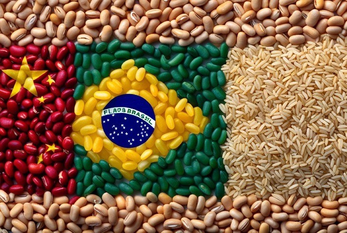 China no Agronegócio: Oportunidade ou Ameaça ao Futuro Econômico do Brasil?