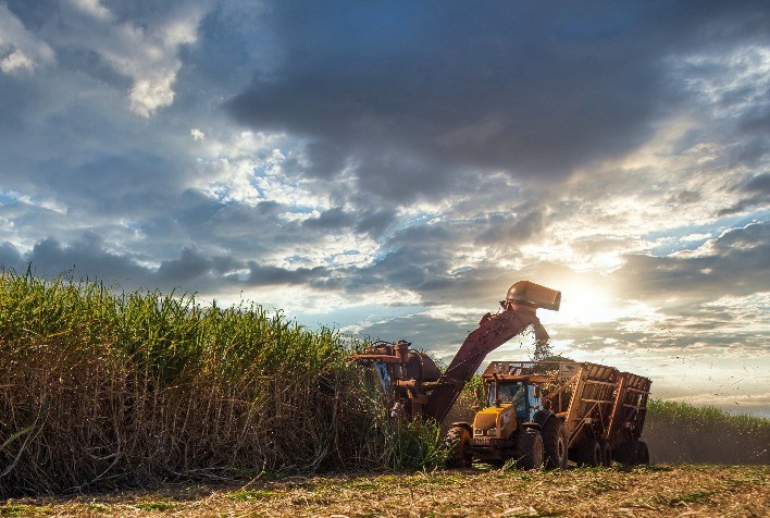 Goiás Registra Recorde na Produção de Cana-de-Açúcar na Safra 2024/25