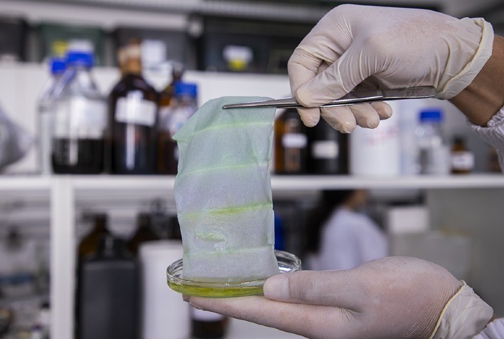 Embalagem Inteligente de Nanofibras: Tecnologia Brasileira Detecta Deterioração de Peixes