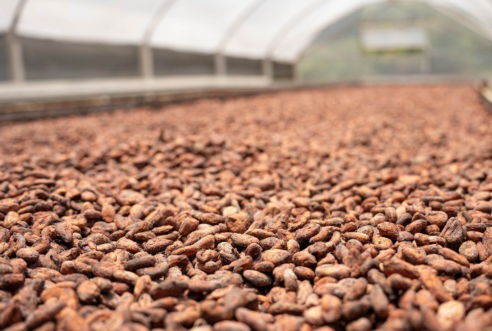 Nestlé Brasil Supera Meta de Agricultura Regenerativa e Avança em Sustentabilidade com um Ano de Antecedência