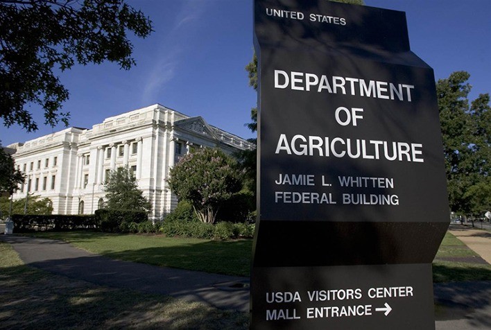 USDA divulga previsões globais para soja, milho e trigo na safra 2025/26