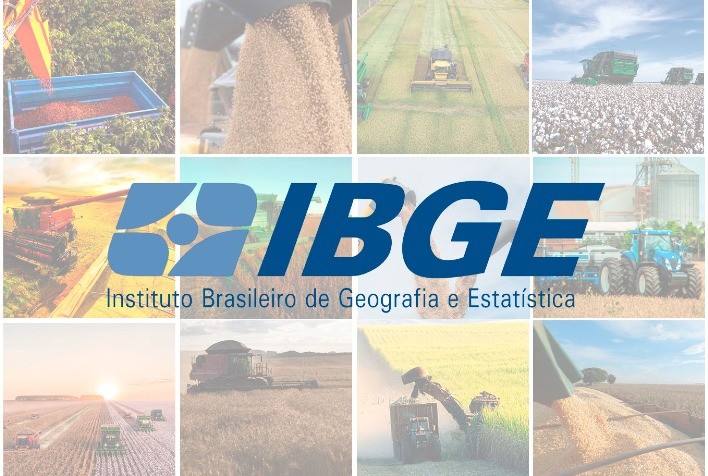 Safra 2025 deve atingir 328,4 milhões de toneladas, projeta IBGE em abril