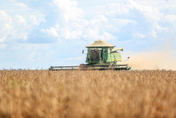 Safra recorde de soja no Brasil em 2024/25 é impulsionada por clima favorável e inovação tecnológica