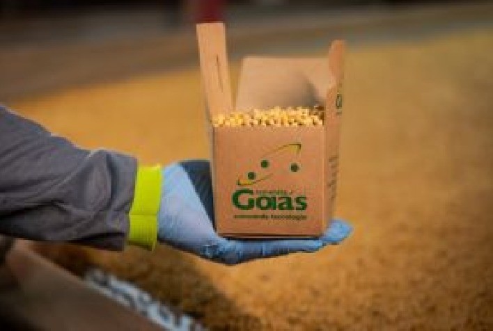 Sementes Goiás conquista prêmio de produtividade e reforça liderança na AgroBrasília 2025