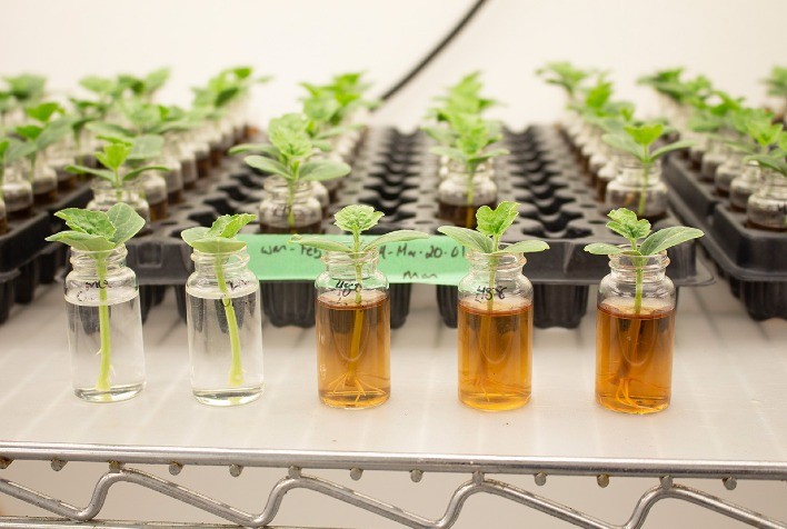 Biossoluções ganham destaque como resposta sustentável às variações climáticas que afetam a saúde do solo