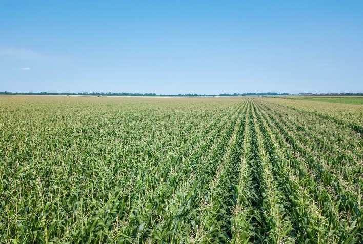 Área tratada com defensivos agrícolas cresce 1,8% no 1º trimestre de 2025, mas faturamento recua 11,1%
