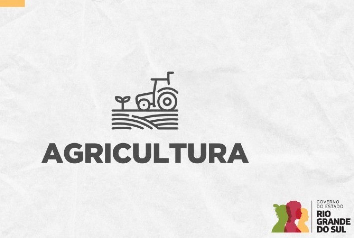 RS já vistoriou mais da metade das propriedades rurais próximas ao foco de gripe aviária em Montenegro