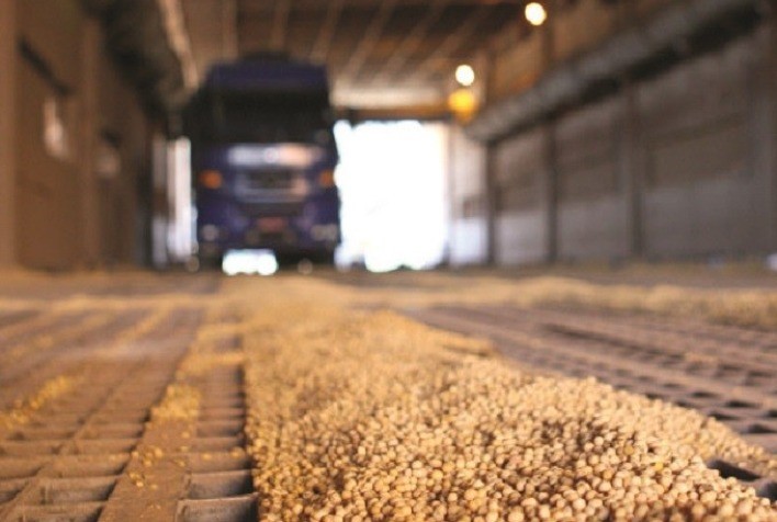 Esmagamento de soja em Mato Grosso cresce em abril, mas margens de lucro recuam