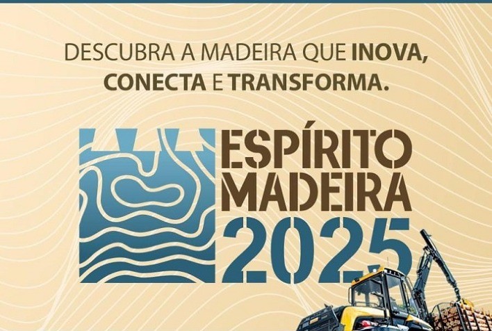 Arquitetura em madeira bate recordes mundiais e impulsiona futuro sustentável