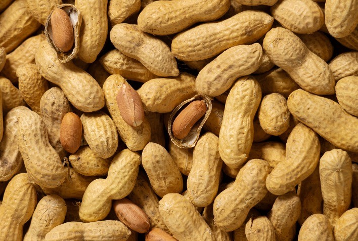 Inseticida Feroce, da UPL, amplia registro para cinco novas culturas e reforça controle de pragas