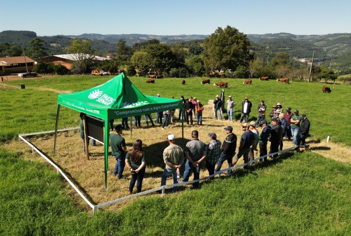Dia de Campo em Santa Catarina reforça avanços na pecuária de corte e troca de experiências entre produtores