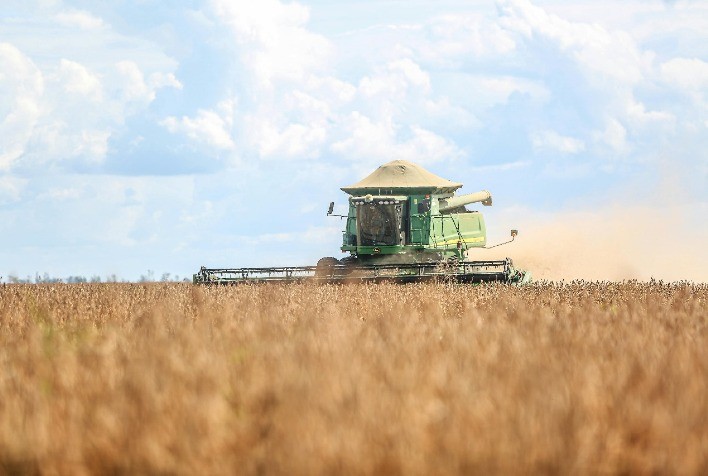 Safra recorde de soja no Brasil é impulsionada por clima favorável e avanços tecnológicos