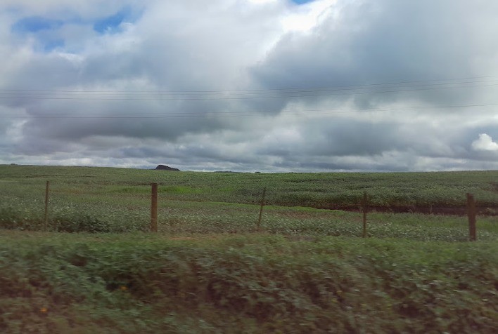 Manejo regenerativo: Sementes Com Vigor destaca-se por sustentabilidade e inovação no campo