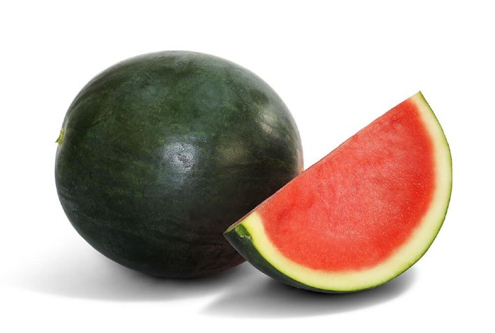 Topseed Premium lança três novos produtos na principal feira de horticultura da América Latina