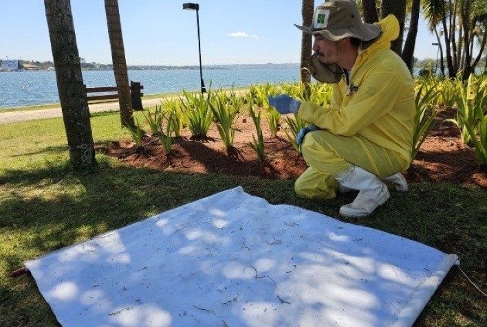 Nova solução para controle do carrapato-do-boi revoluciona manejo e aumenta produtividade na pecuária brasileira