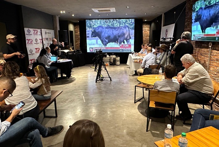 Leilão Renascer no Martelo supera R$ 3 milhões em vendas com 131,8 mil doses de sêmen