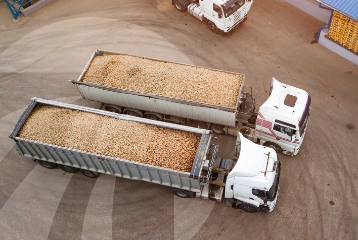 Maranhão reduz taxa sobre grãos para exportação, mas gera questionamentos ao isentar produtores de outros estados