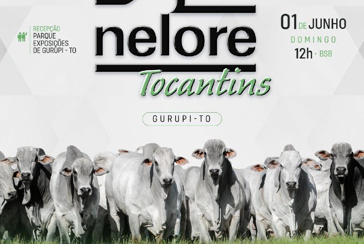 Genética de alta qualidade será destaque no 1º Leilão Nelore Tocantins durante a 50ª Expo Gurupi