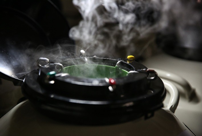 Vendas de sêmen bovino crescem 11% no primeiro trimestre de 2025, aponta relatório da ASBIA