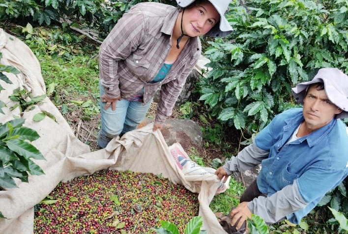 Sistema Faemg Senar auxilia cafeicultores a recuperar lavouras e transformar vidas em Minas Gerais