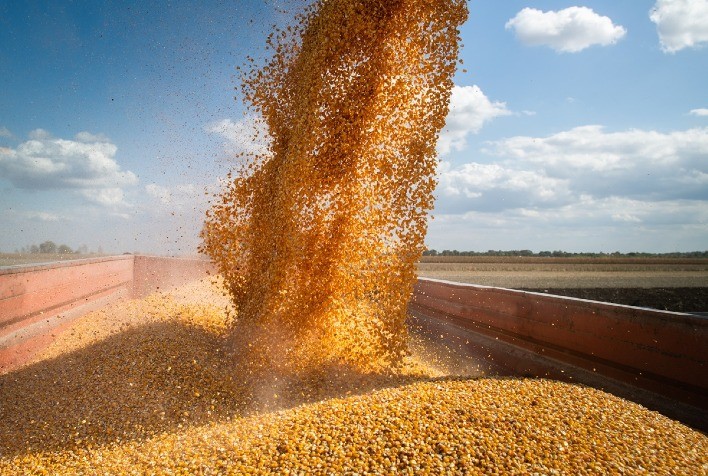 StoneX projeta safra recorde de soja em 168,25 milhões de toneladas e eleva estimativa para milho ‘safrinha’ a 106,1 milhões