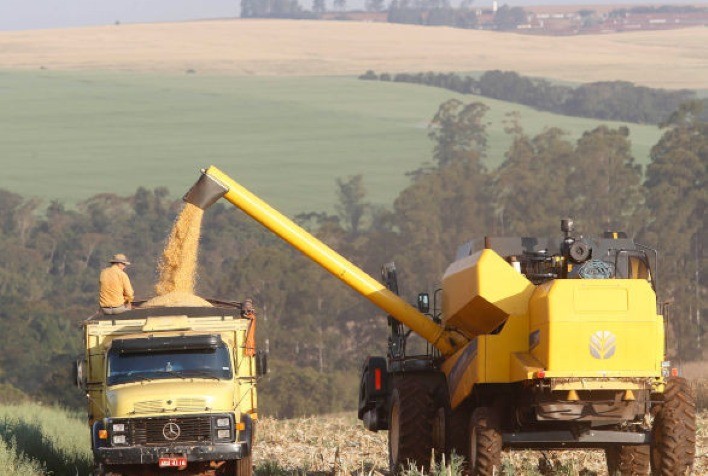 Paraná projeta safra histórica de milho 2024/25 mesmo com desafios climáticos