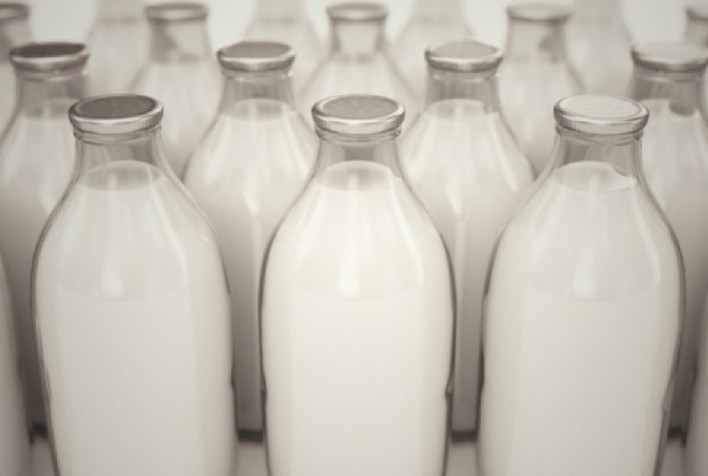 Goiás registra queda nos preços dos laticínios em maio, com creme de leite liderando recuo
