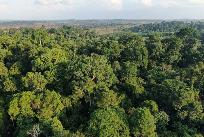Novo centro de pesquisas da Embrapa na Amazônia busca restaurar áreas desmatadas e degradadas com ciência, cultura e saber tradicional