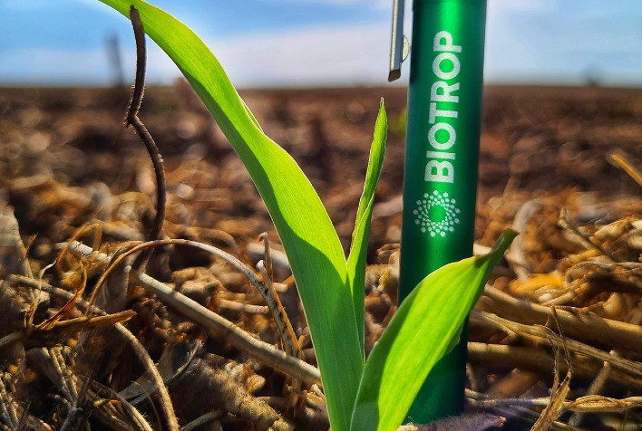 Biotrop lidera ranking nacional de patentes verdes voltadas à agricultura sustentável