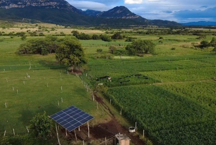 Programa ATeG impulsiona produtividade e renda de produtores rurais em Minas Gerais