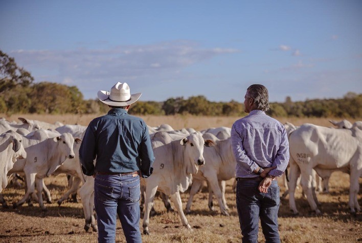 PMGZ Comercial impulsiona transformação de rebanhos comerciais em gado Puro de Origem (PO)
