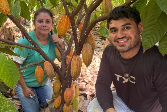 Cacau em São Paulo: novo nicho em expansão com forte potencial de produção