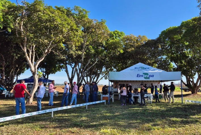 Dia de Campo Safrinha 2025 será realizado em Vilhena no dia 12 de junho