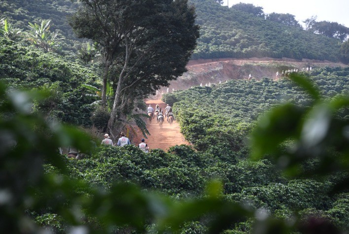 Cavalgada Temática em Três Pontas destaca tradição e impulsiona turismo rural
