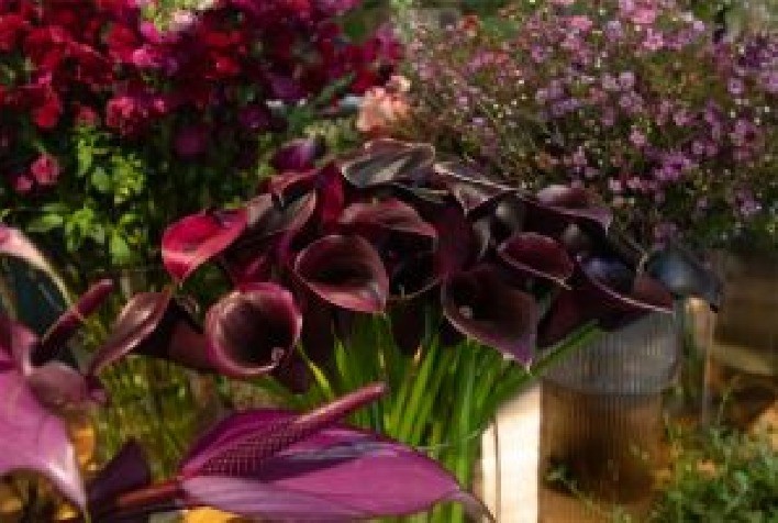 Dia dos Namorados impulsiona vendas no Ceaflor com alta de até 8% e variedade de flores e presentes