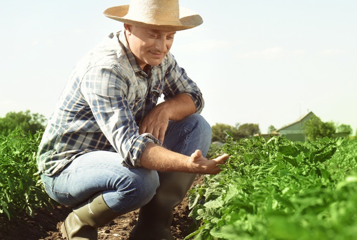 Nova fase da Agronegociar conecta agricultores, extensionistas e pesquisadores em plataforma nacional