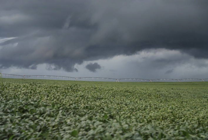 Chuvas favorecem trigo, cevada e pastagens, mas atrasam colheitas no Paraná, aponta Deral