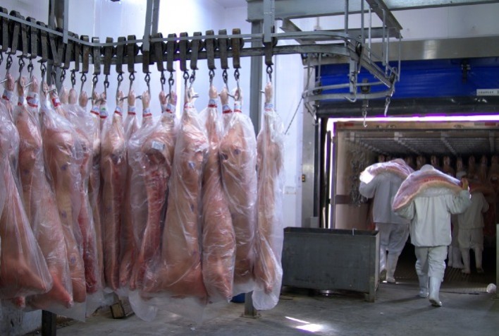 Exportações de carne suína somam 51,7 mil toneladas até a segunda semana de junho de 2025