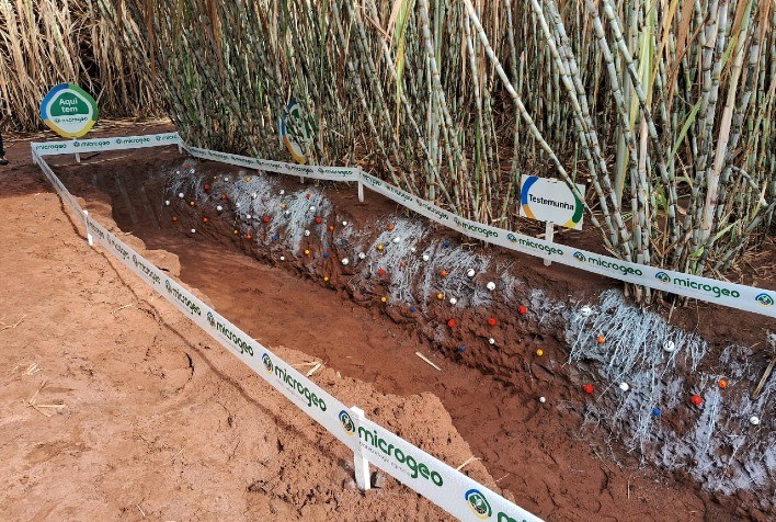 Produtor do Paraná supera desafios climáticos e garante alta produtividade com manejo microbiológico do solo