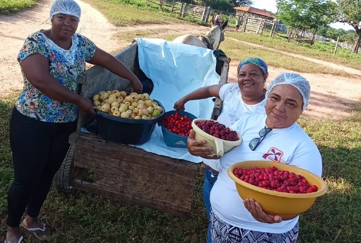 Comunidade de Ubaí aposta na produção de polpas de frutas do Cerrado para ampliar renda e atender mercados institucionais