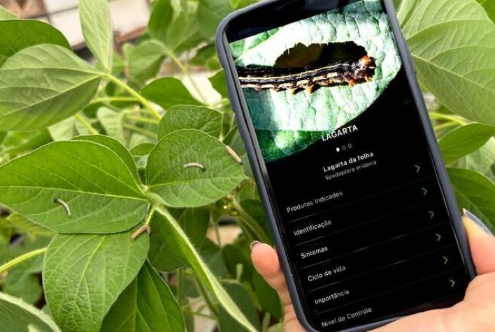 App da ADAMA ultrapassa 100 mil downloads e revoluciona proteção de cultivos com inteligência artificial generativa