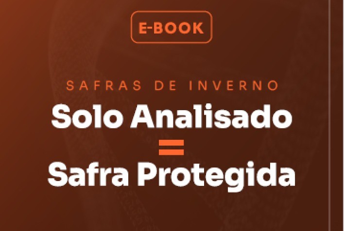 Biologia Molecular revoluciona o combate a doenças invisíveis no solo e aumenta produtividade na safra de inverno
