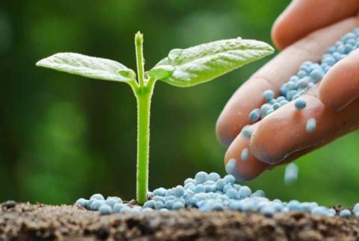 Produtores de soja em Mato Grosso reduzem custos com fertilizantes e defensivos para a safra 2025/26