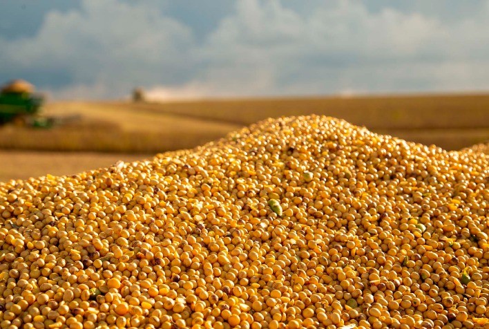 Produtores do Sul de Minas antecipam planejamento para a safra de soja 2025/26