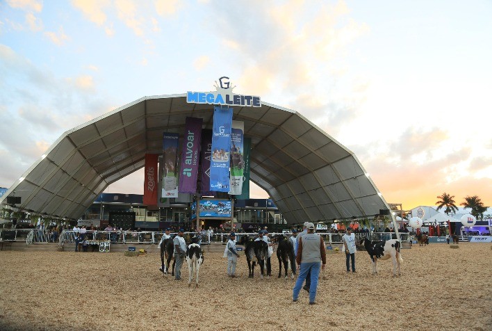 20ª Megaleite movimenta R$ 300 milhões e fortalece presença internacional da genética leiteira brasileira