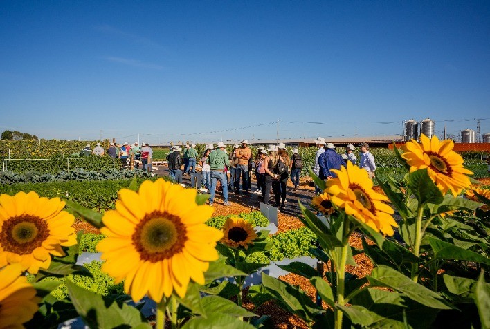 Hortinov 2025 destaca soluções biológicas e novas genéticas de hortaliças em dia de campo gratuito